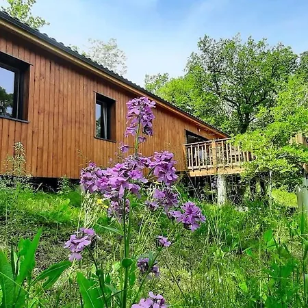 Vakantiehuis Maison Bois Avec Terrasse Sur Pilotis