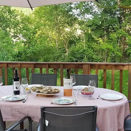 Maison Bois Avec Terrasse Sur Pilotis Vakantiehuis *